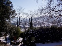 Panorama di Quarrata con la neve (359.55 KB)