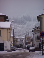 Fotografia della Città di Quarrata con la neve (182.35 KB)