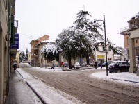 Fotografia della Città di Quarrata con la neve (247.92 KB)